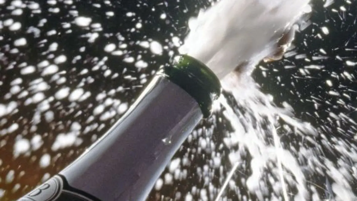 Zum Themendienst-Bericht 'Ernährung/Ratgeber/KORR/' von Eva Neumann vom 1. Dezember: Drei, zwei, eins, plopp! - Die knallenden Korken der Sekt- oder Champagnerflasche begleiten vielerorts den Beginn des neuen Jahres. (Die Veröffentlichung ist für dpa/gms-Themendienst-Bezieher honorarfrei. Quellenhinweis: 'DWI/dpa/gms'). +++ +++