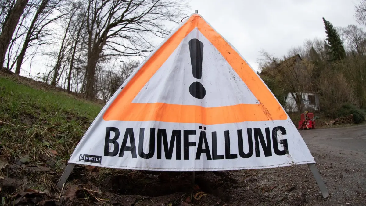 Anwohner der Ferienhausanlage in Beckersmühle sagen, am Ufer des Großen Zechliner Sees seien illegal Bäume gefällt worden. Ein Grundstückseigentümer weist das zurück. (Symbolbild)
19.02.2022, Nordrhein-Westfalen, Bielefeld: «Baumfällung» steht auf einem Aufsteller. Sturmtief «Zeynep» war teils mit Orkanstärke über Teile Deutschlands gezogen. Behörden mahnen weiter zur Vorsicht. Foto: Friso Gentsch/dpa +++ dpa-Bildfunk +++