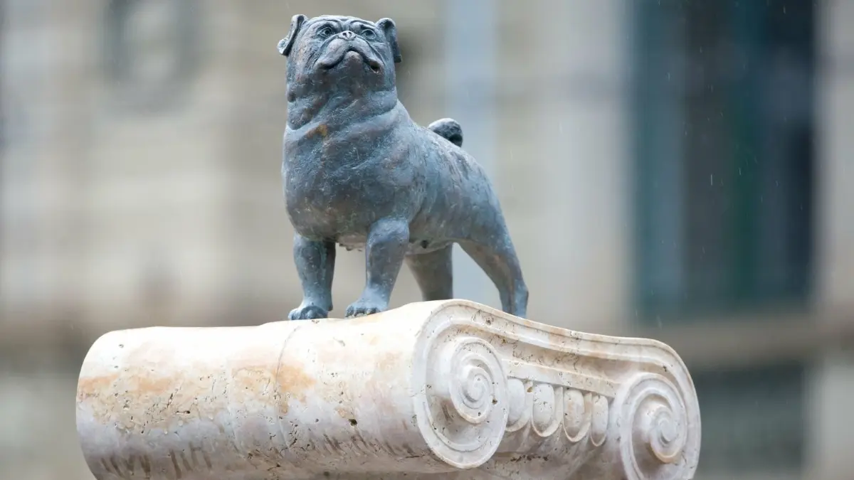 Ein Säule mit einer Mopsfigur erinnert am Stuttgarter Eugensplatz an den Humoristen Vicco von Bülow alias Loriot.
Eine Mopsfigur ist auf dem Loriot-Denkmal zu sehen. Vicco von Bülow alias Loriot prägte Generationen und bereicherte die deutsche Sprache. Sein zehnter Todestags jährt sich am 22. August. (zu dpa-Korr "Ein Loriot-Lexikon zum 10. Todestag von Vicco von Bülow") +++ dpa-Bildfunk +++
