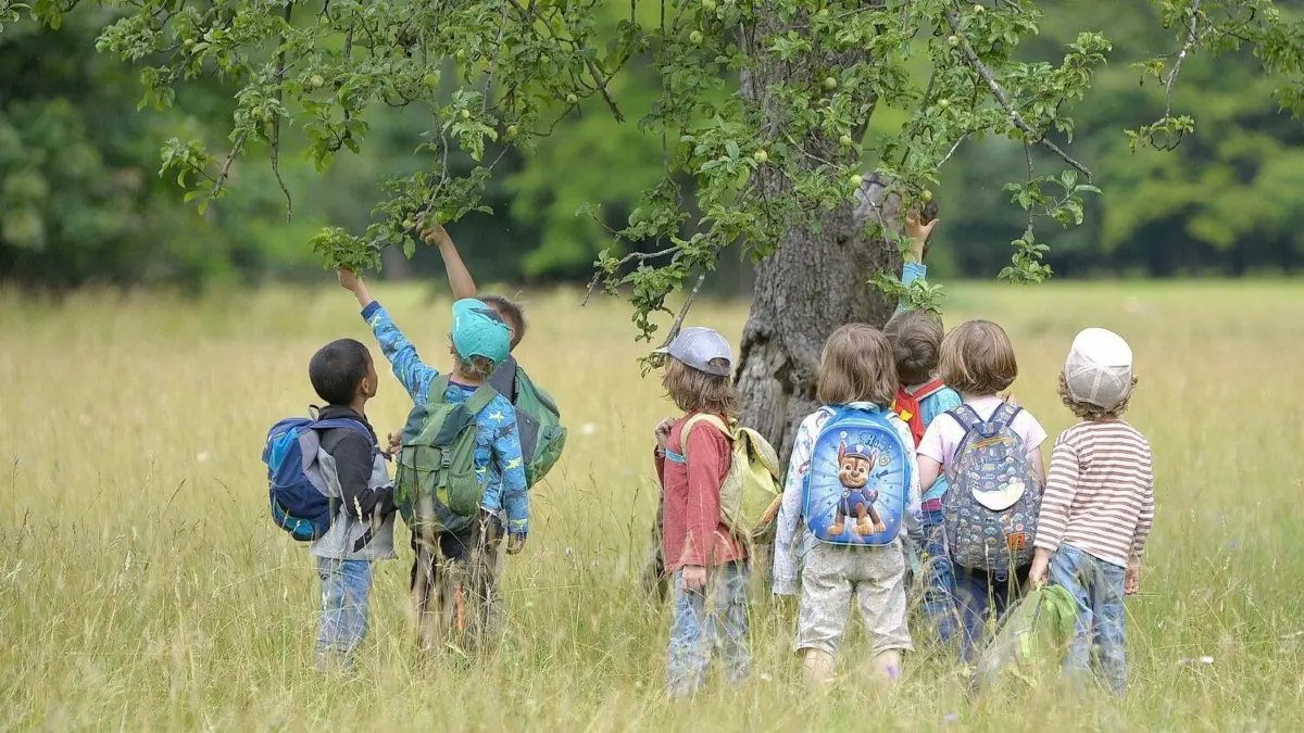 Kita-Kinder bei einem Ausflug. Ein Kindergarten ist ein wichtiger Lernort. Die hohen Kosten sind aber für viele Eltern in Brandenburg ein Problem. (Symbolbild)
München, 16.7.2021 / Waldkindergarten Insel in Oberföhring Ausflug (Apfelbaum) || Mindestpreis 25 Euro