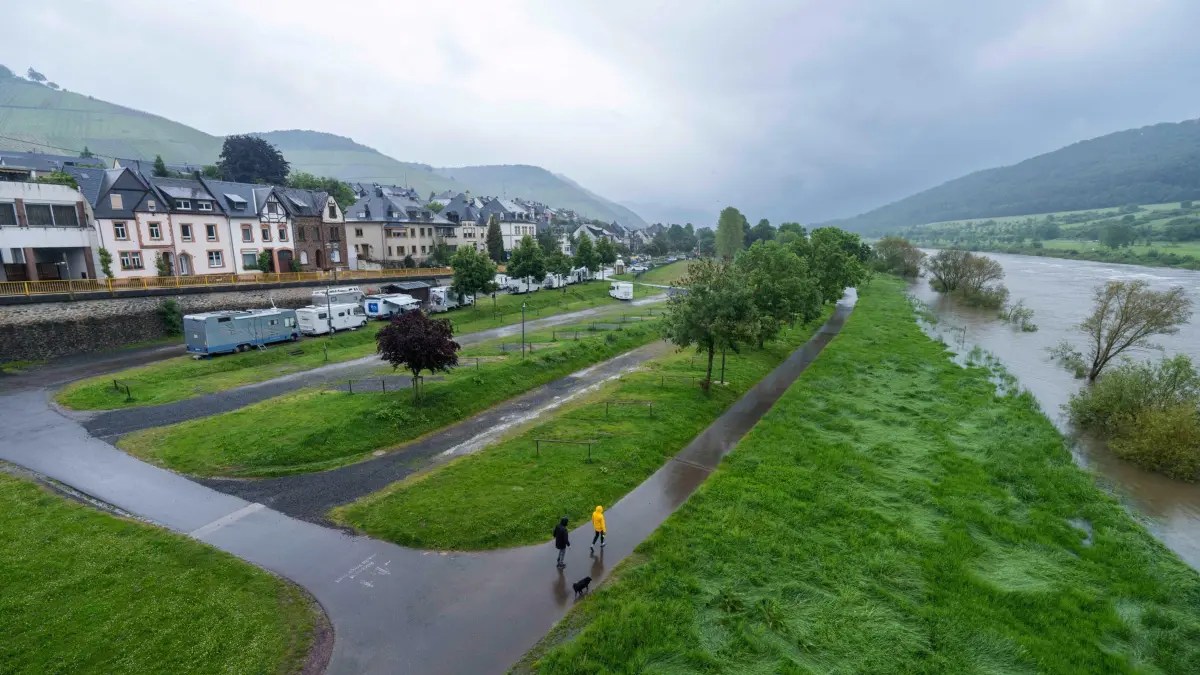 Wasserpegel der Mosel steigt an: 17.05.2024, Rheinland-Pfalz, Zeltingen-Rachtig: Die Stellflächen im Ufernähe des Wohnmobilstellplatz Zeltingen mussten geräumt werden. Die Wohnmobile können zur Zeit noch auf einem höher gelegenen Teil des Stellplatzes verbleiben. Das Hochwassermeldezentrum schätzt, dass der Pegelstand der Mosel bis Sonntag auf 7,30 Meter steigt. Dann wäre auch die B49 am Flußufer überschwemmt und müsste gesperrt werden. Das Wasser würde dann auch die Altstadt von Cochem erreichen. Einigen Stellflächen für Wohnmobile und Campingwagen in Ufernähe der Mosel mussten geräumt werden. Foto: Andreas Arnold/dpa +++ dpa-Bildfunk +++