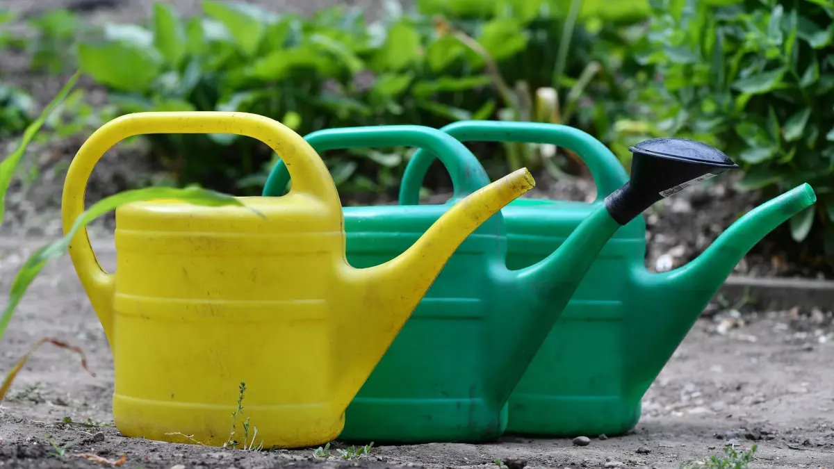 Garten: ARCHIV - 06.06.2019, Thüringen, Erfurt: Gießkannen stehen neben einem einem Beet im Garten der Moritzschule. (zu dpa: «Kleingärtner trotz Frost und Schnecken mit 2024 zufrieden») Foto: Martin Schutt/dpa-Zentralbild/dpa +++ dpa-Bildfunk +++