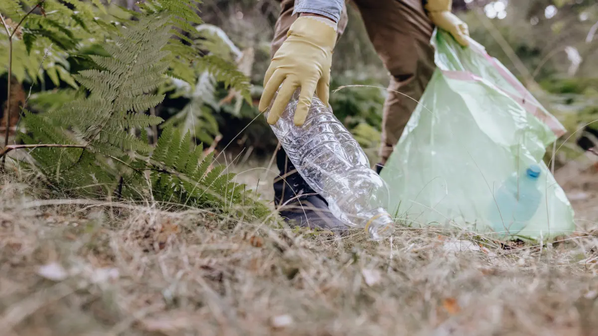 Male volunteer with glove picking plastic bottle while cleaning forest model released Symbolfoto JCCMF03810: Male volunteer with glove picking plastic bottle while cleaning forest model released Symbolfoto JCCMF03810