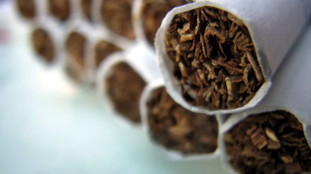 ARCHIV - Zigaretten liegen in einer geöffneten Packung (Archivfoto vom 26.07.2005). Die Raucher in Deutschland müssen sich auf höhere Preise für Zigaretten und Tabak einstellen. Marktführer Philip Morris habe eine neue Preisliste an den Großhandel verschickt, mit der die Preise einzelner Produkte ab Juni erhöht werden, teilte eine Sprecherin des Unternehmens am Mittwoch (08.04.2009) in München mit. Foto: Frank Rumpenhorst (zu dpa 0597 vom 08.04.2009) +++ dpa-Bildfunk +++