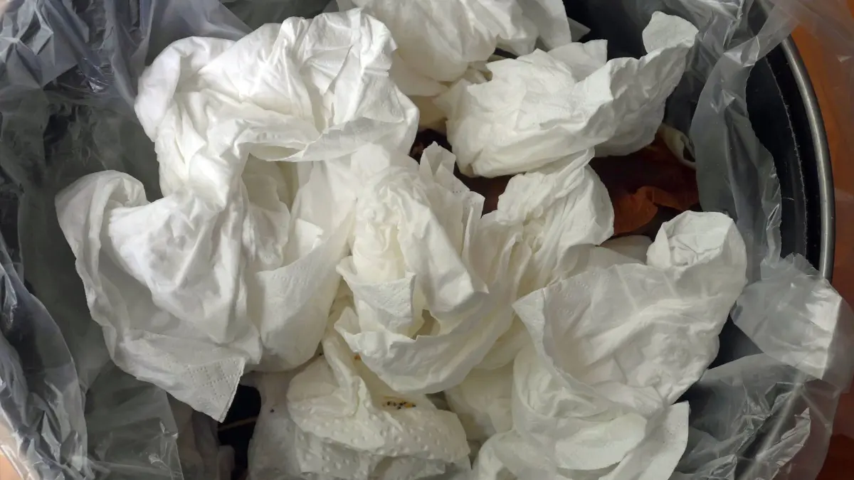 Benutzte Papiertaschentücher der Marke Tempo in einem Mülleimer.
used Paper towels the Brand Tempo in a Trash