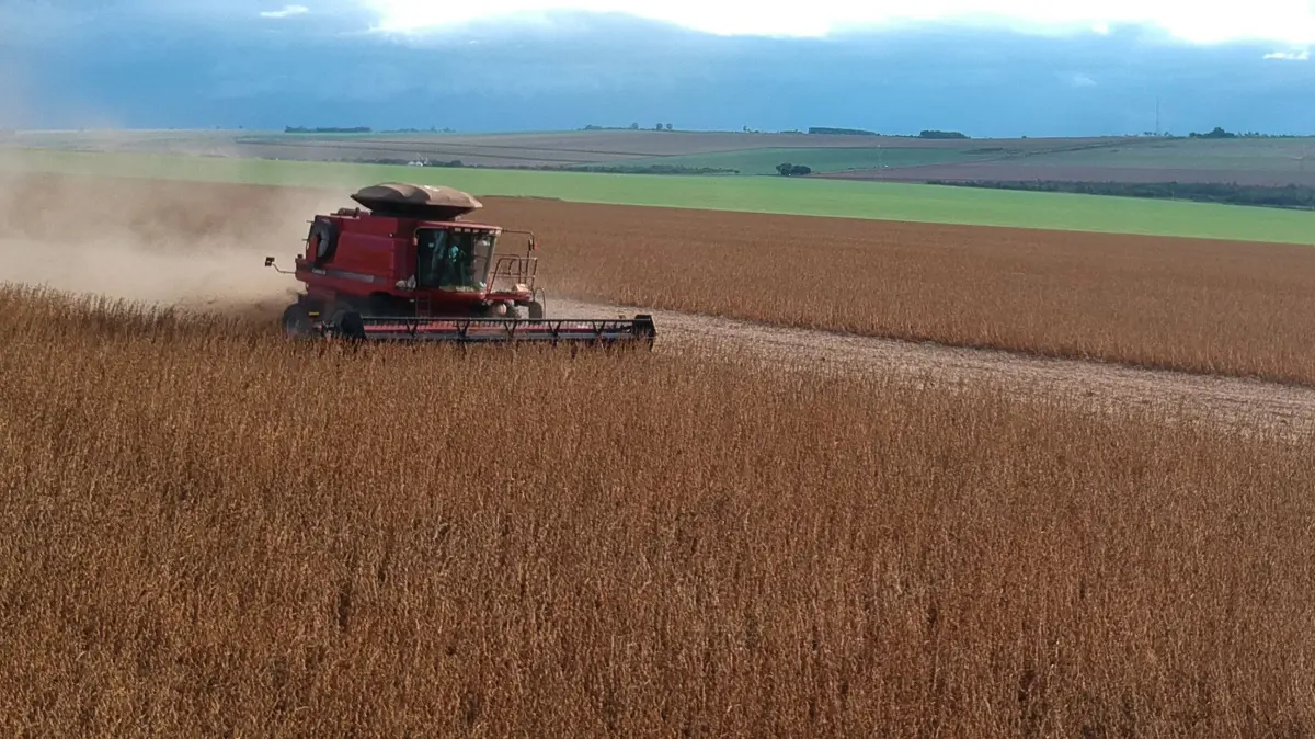 Eine Landmaschine arbeitet bei der Ernte von Sojabohnen auf der Farm Bandeirinha in Formosa. +++ dpa-Bildfunk +++
