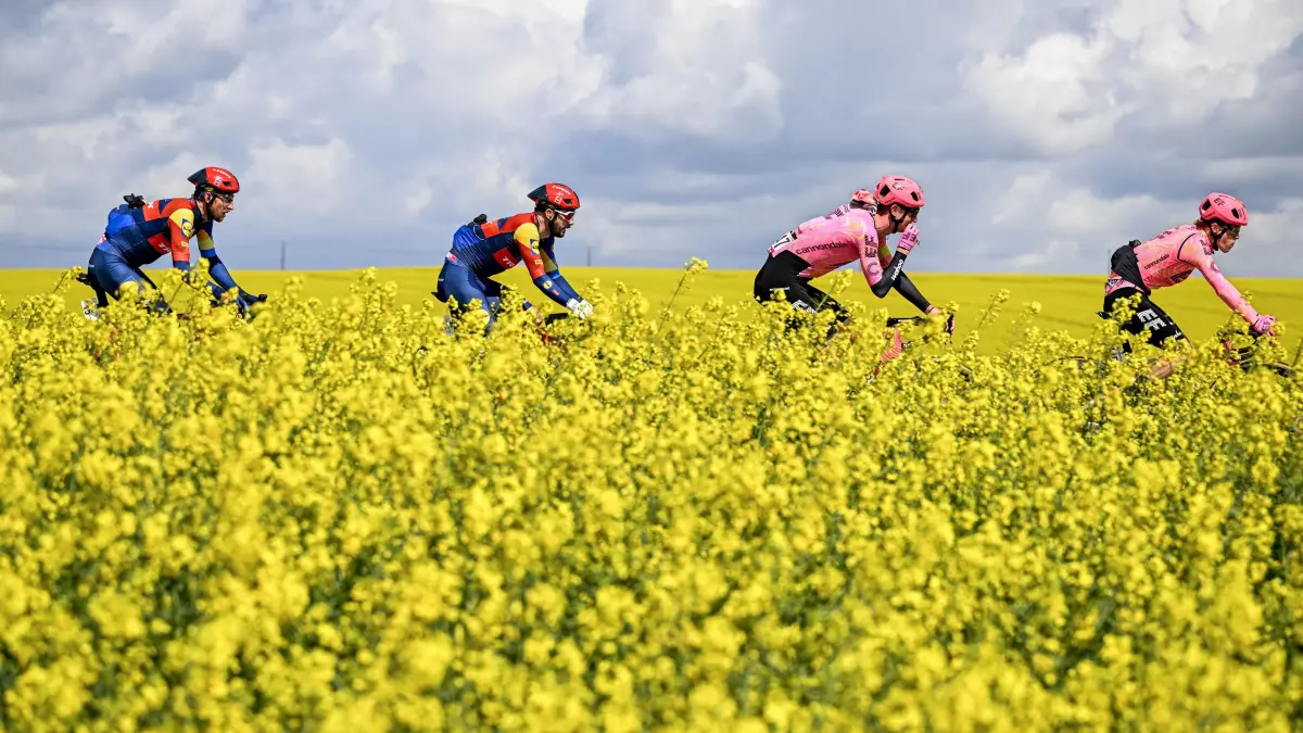 Radsport: UCI WorldTour - Flèche Wallonne, (198,60 km), Männer: Das Fahrerfeld in Aktion. +++ dpa-Bildfunk +++
