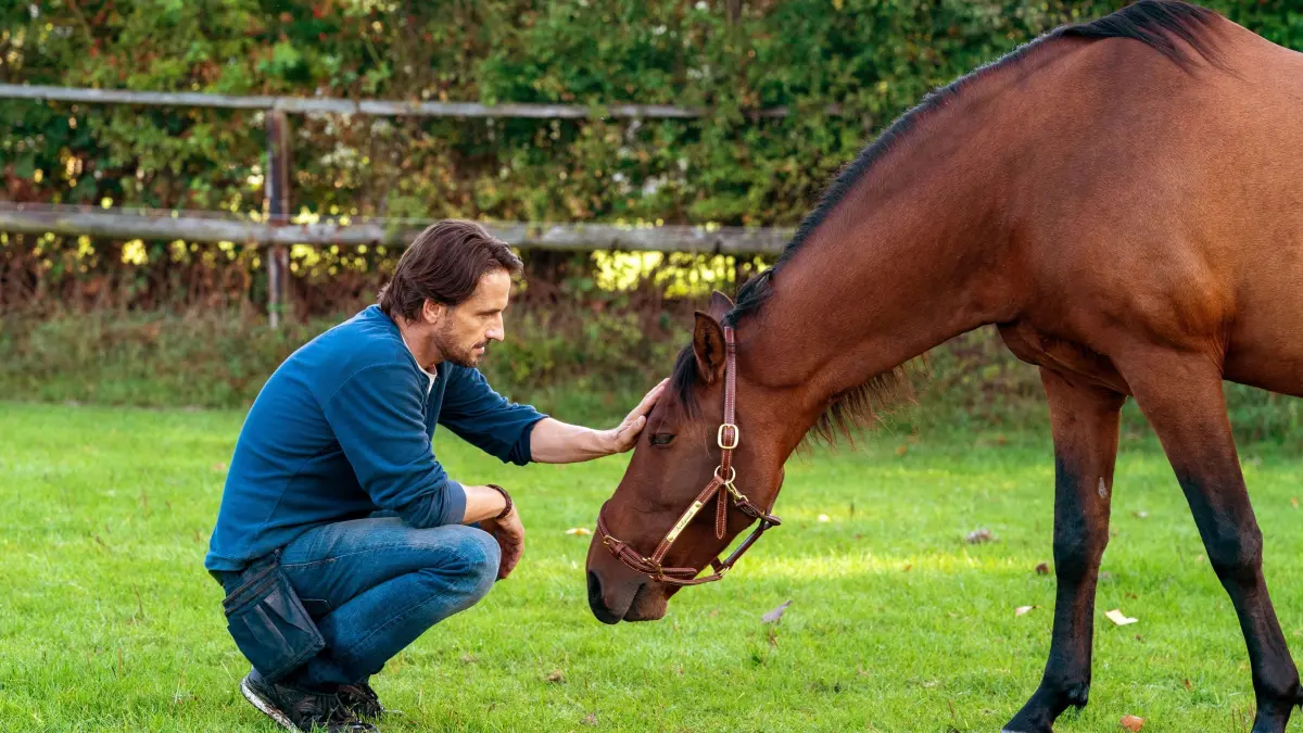 ARD Degeto 2 UNTER MILLIONEN, am Freitag (23.05.25) um 20:15 Uhr und um 01:25 Uhr im ERSTEN.
Henry (Oliver Mommsen) möchte mit seinem Pferd "Feelgood" an die Spitze Deutschlands schaffen!
© ARD Degeto/Boris Laewen, honorarfrei - Verwendung gemäß der AGB im engen inhaltlichen, redaktionellen Zusammenhang mit genannter Degeto-Sendung und bei Nennung "Bild: ARD Degeto/Boris Laewen" (S2+). ARD Degeto/Programmplanung und Presse, Tel: 069/1509-335, degeto-presse@degeto.de