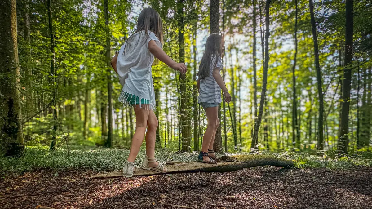 Kinder, Wald, Natur, Spielen, Sommer, Erfrischung, Waldspielplatz, Abenteuer, Entdecken, Umwelt, Erholung, Familienausfl: Kinder, Wald, Natur, Spielen, Sommer, Erfrischung, Waldspielplatz, Abenteuer, Entdecken, Umwelt, Erholung, Familienausflug, Naturerlebnis, Wandern, Kinderfreundlich, Waldpädagogik, Umwelterziehung, Outdoor-Aktivitäten, Naturerleben, Nachhaltigkeit, Ökologie, Biodiversität, Freizeit, Outdoor, Frischwasser, Hygieneregeln, Sicherheit, Gesundheit, Wasserqualität, Trinkwasser, Nachhaltigkeitserziehung, Waldschutz, Kinder im Wald, Naturverbundenheit, Umweltbewusstsein, Naturbewahrung, Klimaschutz. Symbolfoto. Model Release und Einverständnis der Erziehungsberechtigten zur Verwendung im journalistischen Kontext liegt vor. *** Children, forest, nature, playing, summer, refreshment, forest playground, adventure, discovery, environment, rec Copyright: xJöranxSteinsiekx