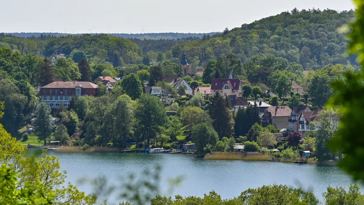 Blick über den Schermützelsee auf den Ort Buckow im Naturpark Märkische Schweiz. Am 24. Mai 1909 wurde in Schweden der erste europäische Nationalpark ausgewiesen - viele weitere Gebiete wurden seitdem unter Schutz gestellt. Seit 1999 feiern diese Großschutzgebiete am und um den 24. Mai den «Europäischen Tag der Parke», auch im Land Brandenburg. Östlich von Berlin im Landkreis Märkisch-Oderland liegt Brandenburgs kleinster und ältester Naturpark - der Naturpark Märkische Schweiz. 1990 gegründet liegt der etwa 200 Quadratkilometer große Naturpark zwischen den Städtchen Strausberg, Müncheberg und Neuhardenberg. Die geologische Vergangenheit prägte das Gesicht der Landschaft: Die letzte Eiszeit vor 12.000 Jahren formte eine idyllische Landschaft.
