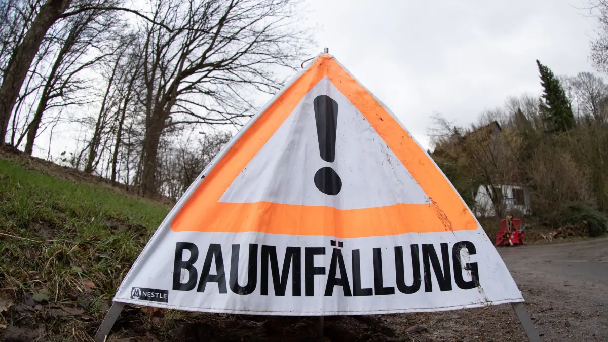 «Baumfällung» steht auf einem Aufsteller. Sturmtief «Zeynep» war teils mit Orkanstärke über Teile Deutschlands gezogen. Behörden mahnen weiter zur Vorsicht. +++ dpa-Bildfunk +++