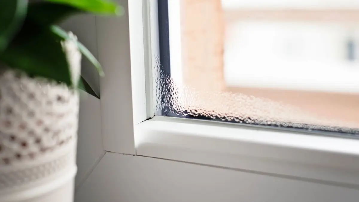 Beschlagene Fenster von innen sind besonders in den kalten Monaten ein häufiges Problem. Welche Ursachen dahinterstecken und wie sich Kondenswasser vermeiden lässt, erfahren Sie hier.