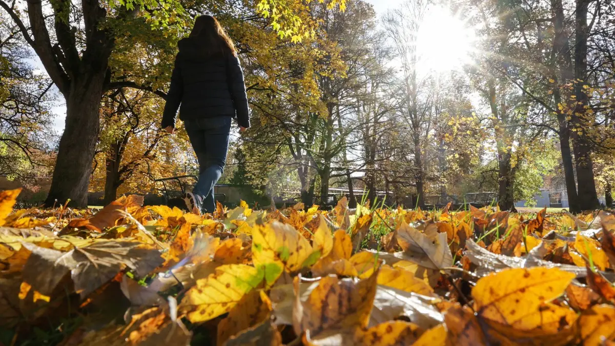 26.10.2025, Baden-Württemberg, Zwiefalten: Eine Spaziergängerin geht im Herbstlaub durch einen Park. Foto: Thomas Warnack/dpa +++ dpa-Bildfunk +++