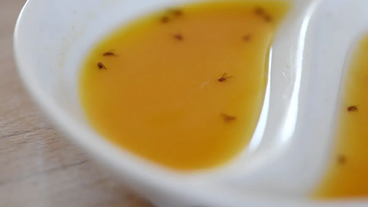 Fruchtfliegen liegen in einer Mixtur