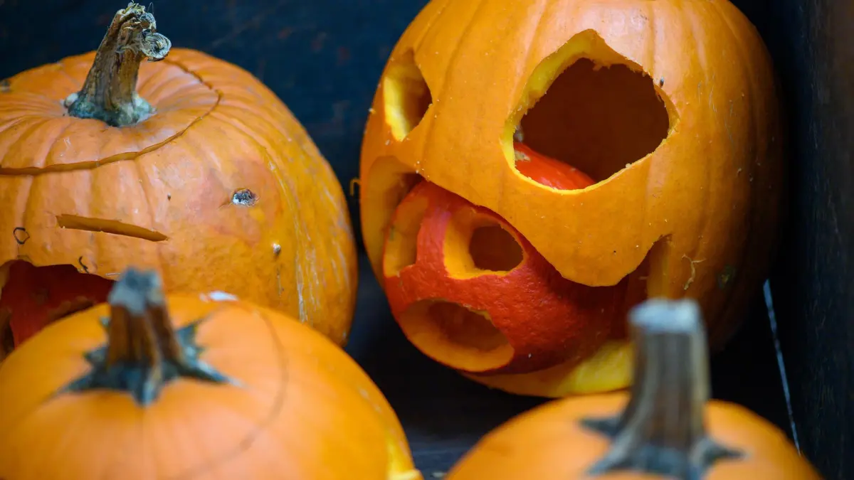 Halloween: ARCHIV - 27.10.2021, Sachsen-Anhalt, Magdeburg: Ein von einem Zoomitarbeiter geschnitzter Kürbis. Die verzierten Feldfrüchte sollen zu Halloween mit Leckereien gefüllt und an die Tiere im Zoo verteilt werden. (zu dpa: «Wo man sich in Sachsen-Anhalt erschrecken lassen kann») Foto: Klaus-Dietmar Gabbert/dpa-Zentralbild/dpa - ACHTUNG: Nur zur redaktionellen Verwendung im Zusammenhang mit der aktuellen Berichterstattung und nur mit vollständiger Nennung des vorstehenden Credits +++ dpa-Bildfunk +++