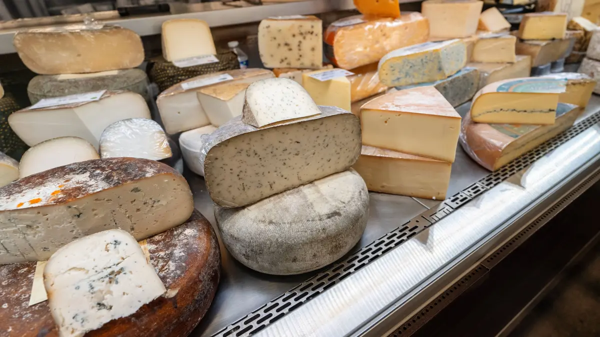Ausgestellte Käsesorten auf dem Markt.: Ausgestellte Käsesorten auf dem Markt. Assorted Cheeses on Display in Market. LicenseRF Copyright: xZoonar.com/DmitrixMarutax 23343810