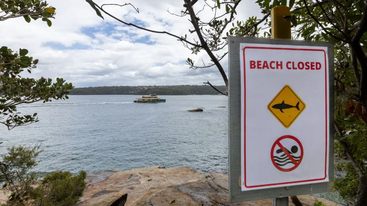 Shark Beach in Sydney: 19.01.2026, Australien, Sydney: Ein Schild weist einen Strand als geschlossen aus und warnt vor Haien an einem beliebten Felsensprungplatzes am Hermitage Foreshore Walk in der Nähe des Shark Beach in Vaucluse. Foto: Sitthixay Ditthavong/AAP/dpa +++ dpa-Bildfunk +++