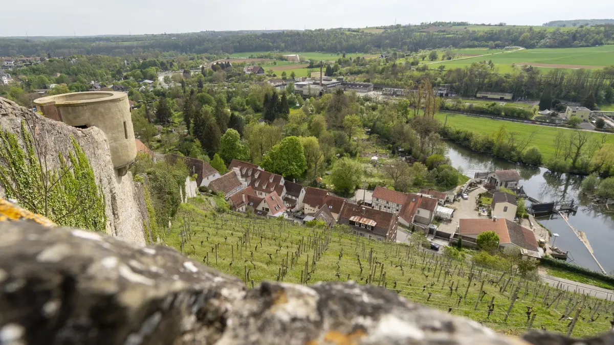 Vaihingen an der Enz - Bürgerspaziergang zur Gartenschau 2029.