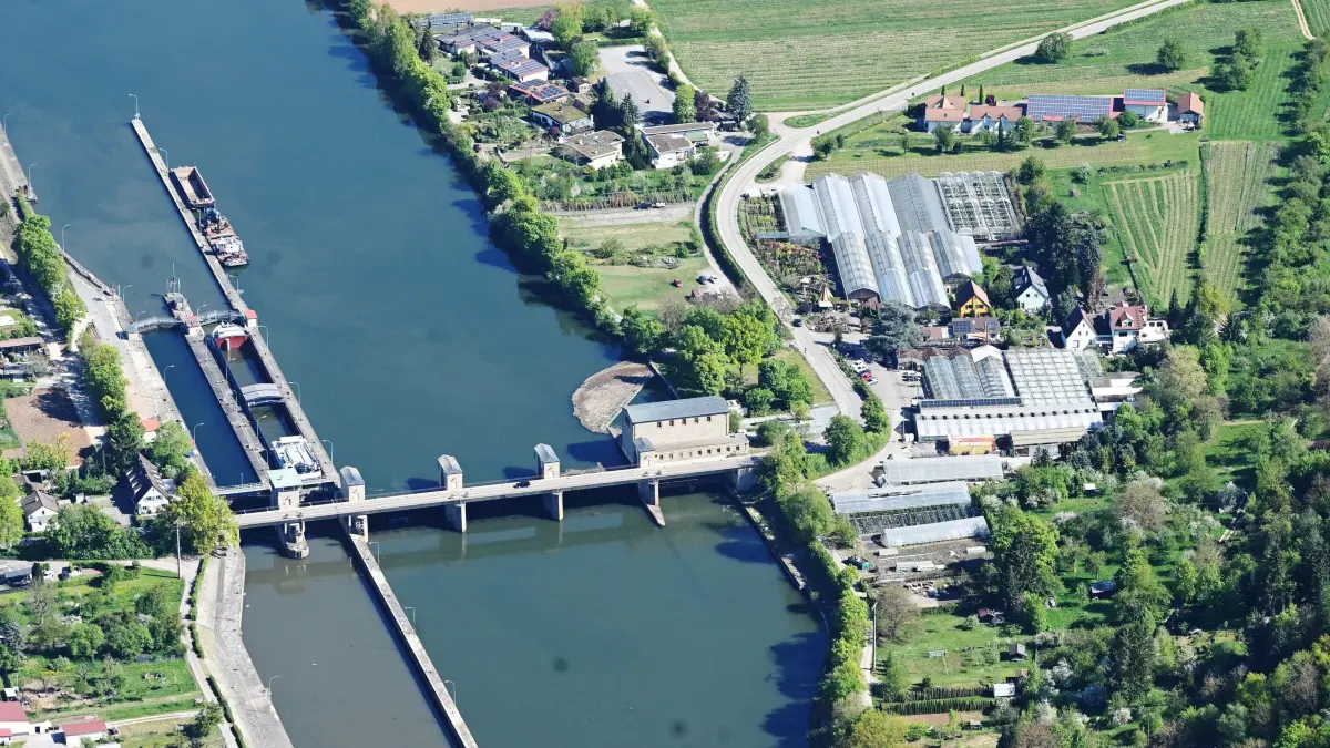 Hessigheim Rosenhammer