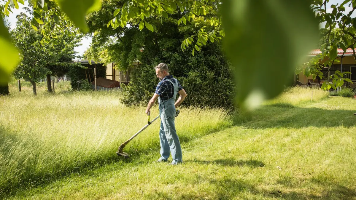 Ein Mann kürzt das Gras im Garten mit einem Rasentrimmer: ILLUSTRATION - Beim Mähen gilt: Weniger ist oft mehr – längere Mähintervalle fördern die Artenvielfalt und stärken den Rasen. (zu dpa: «Weniger Schnitt, kein Roboter: So geht schonendes Rasenmähen») Foto: Christin Klose/dpa-mag - Honorarfrei nur für Bezieher des Dienstes dpa-Magazin +++ dpa-Magazin +++