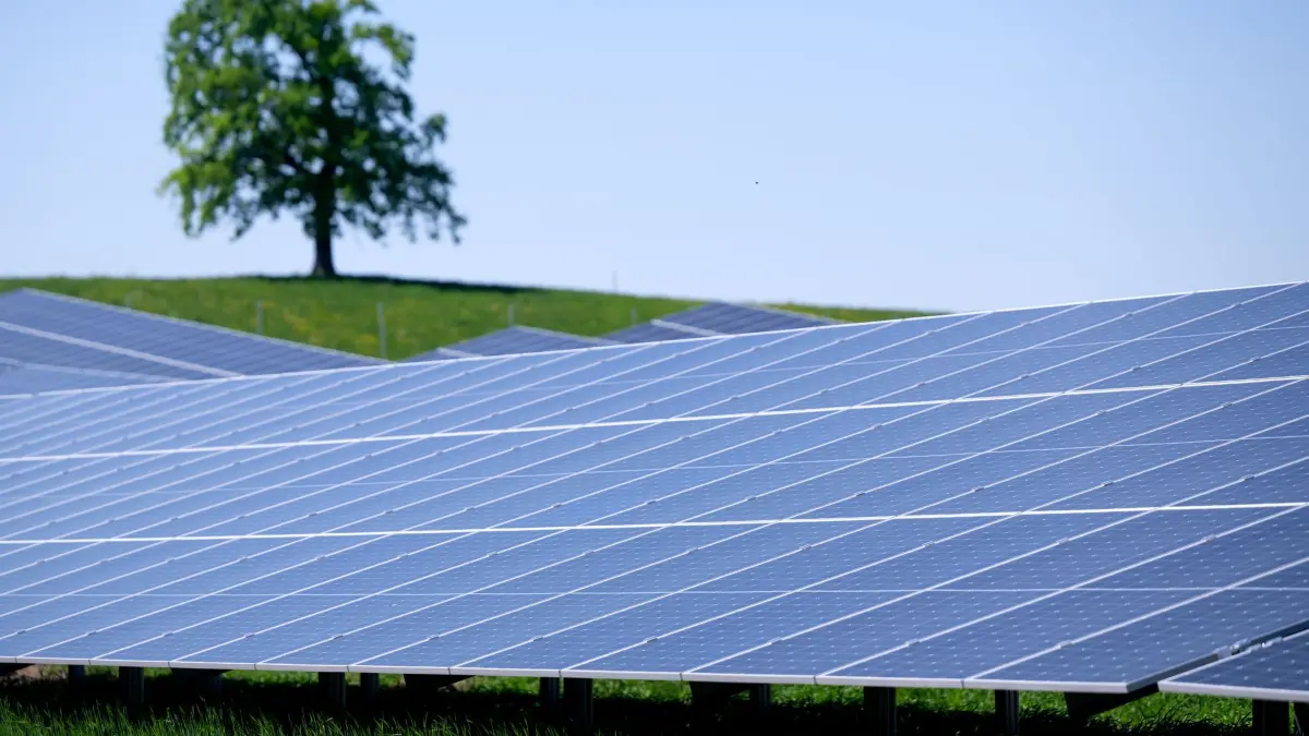 Solarpark: ARCHIV - 02.05.2025, Bayern, Münsing: Die Sonne scheint auf einen Solarpark in der Nähe der Autobahn 95 (A95) auf einem Feld. Im Hintergrund steht ein Baum. (zu dpa: «Grüne: Bayern muss bei Energie unabhängiger werden») Foto: Sven Hoppe/dpa +++ dpa-Bildfunk +++