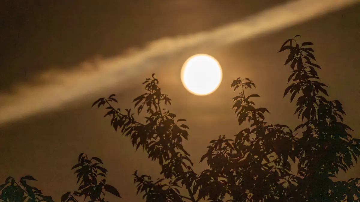 Blue Moon, Blauer Mond, der zweite Vollmond im Mai am Nachthimmel über München, 31. Mai 2026: Blue Moon, Blauer Mond, der zweite Vollmond im Mai am Nachthimmel über München, 31. Mai 2026 Deutschland, München, 31. Mai 2026, der zweite Vollmond im Mai am Nachthimmel über München, Blauer Mond, Blue Moon, der Mond leuchtet über einem Garten in München-Waldperlach, Wolkenstreifen, nachts um 1:30 Uhr, kleinster Vollmond des Jahres, *** Blue Moon, Blue Moon, the second full moon in May in the night sky over Munich, May 31, 2026 Germany, Munich, May 31, 2026, the second full moon in May in the night sky over Munich, Blue Moon, Blue Moon, the moon shines over a garden in Munich Waldperlach, cloud streak, at night at 1 30 oclock, smallest full moon of the year,