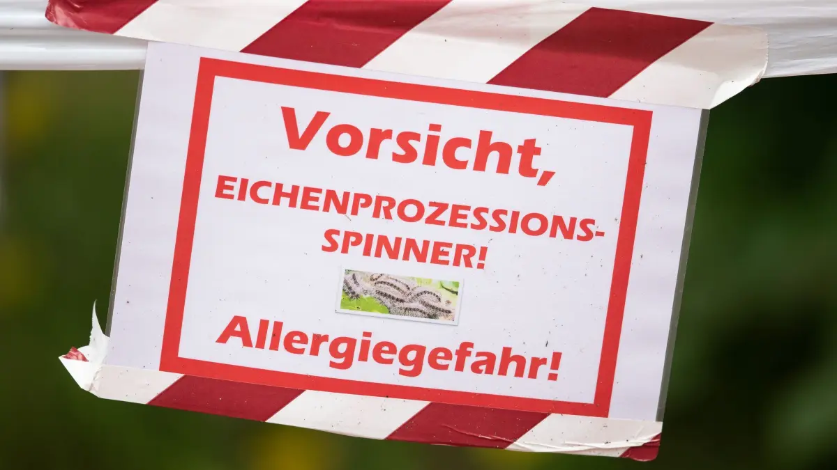 Warnung vor Eichenprozessionsspinnern
