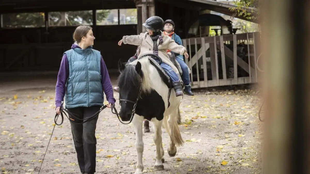 Jugendfarm Stuttgart-Möhringen, therapeutisches Reiten