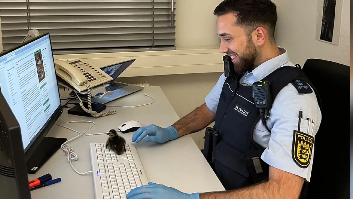 Polizei rettet Küken