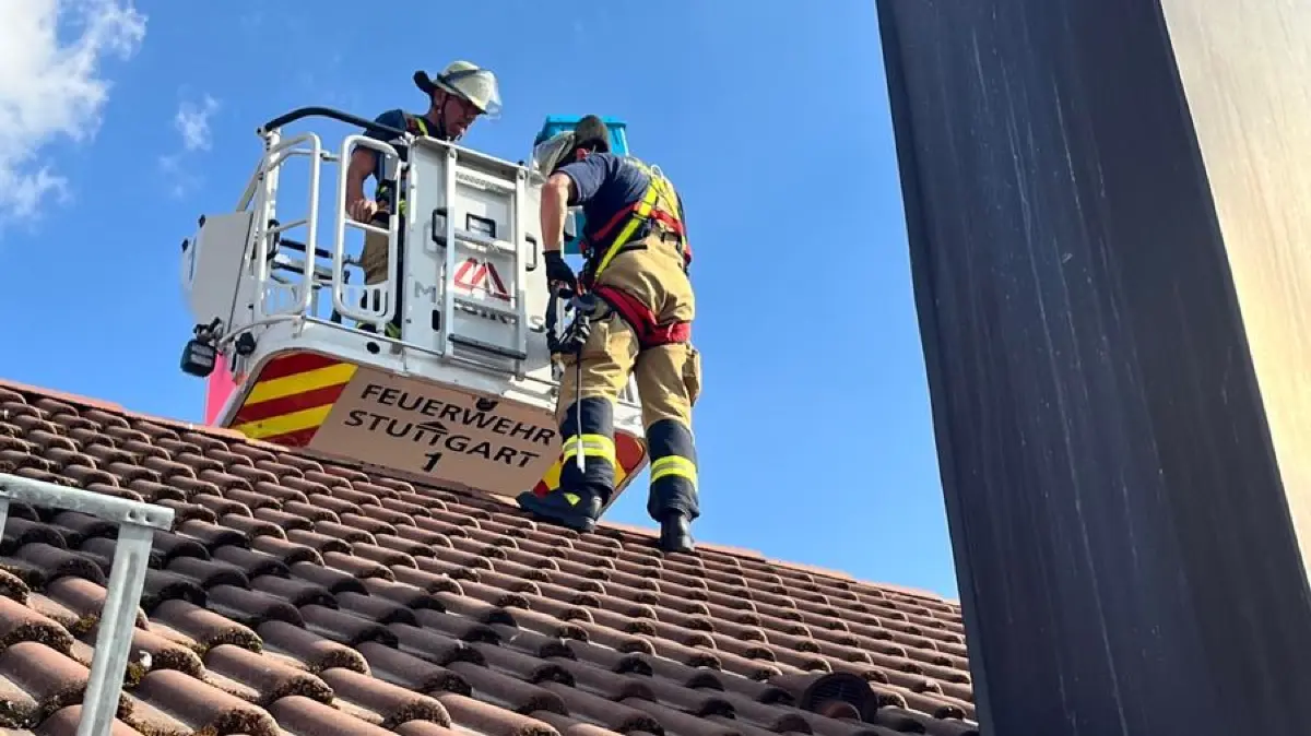 Rettungs von Turmfalken. Bildquelle: Feuerwehr Stuttgart