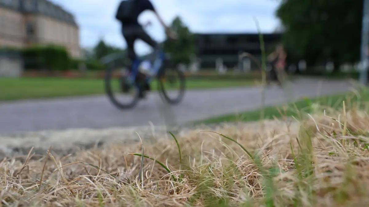 Wetter in Baden-Württemberg: 01.07.2026, Baden-Württemberg, Stuttgart: Ein Radfahrer fährt an vertrocknetem Gras am Charlottenplatz vorbei. Foto: Jennifer Kramer/dpa +++ dpa-Bildfunk +++