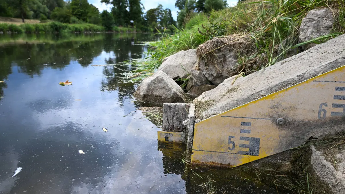 Niedrigwasser der Donau