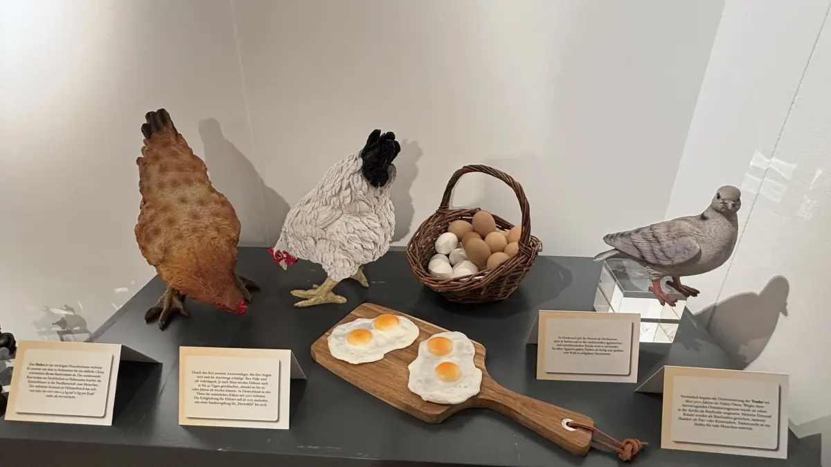Museum Ditzingen