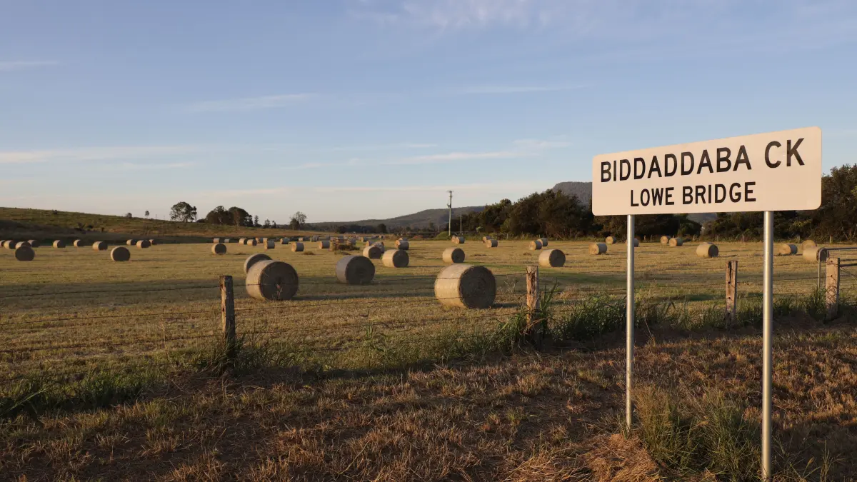 Eine Autostunde entfernt von Brisbanes Großstadtgewusel und den Hoteltürmen der Urlaubsfabrik Gold Coast liegt das Hinterland – und schaut ein bisschen so aus wie in Süddeutschland.