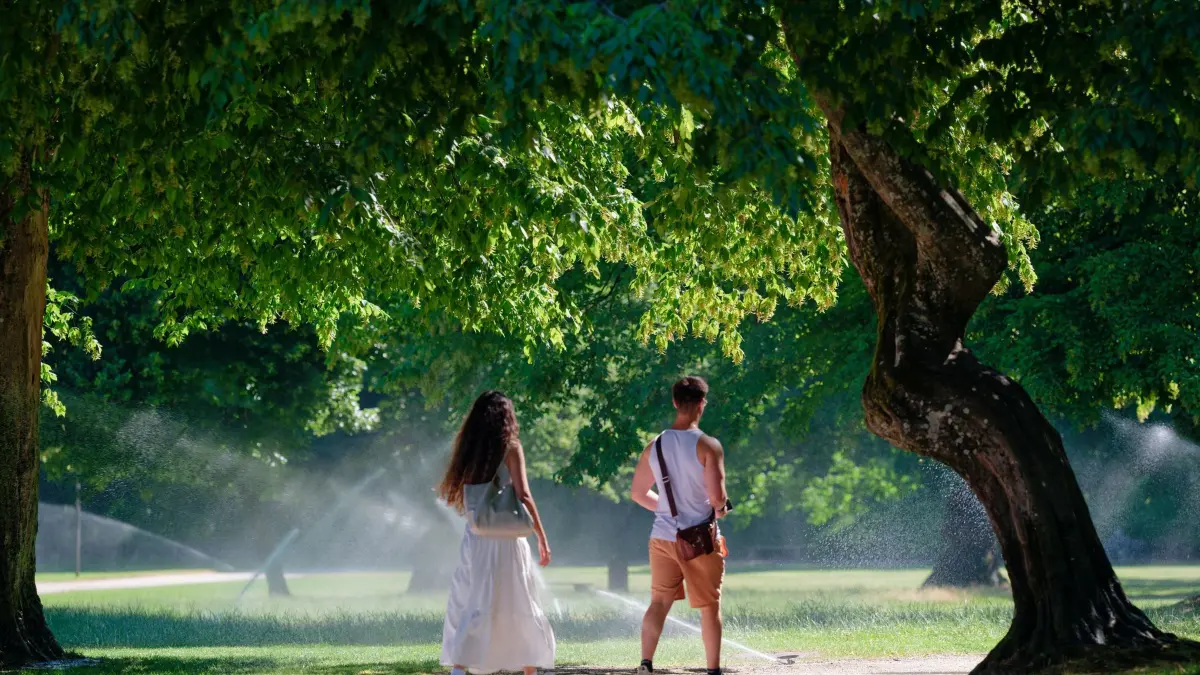 Wetter in Baden-Württemberg: 02.07.2026, Baden-Württemberg, Heidelberg: Besucher des Heidelberger Schlossparks gehen vor Bewässerungsanlagen über einen Weg. Foto: Uwe Anspach/dpa +++ dpa-Bildfunk +++