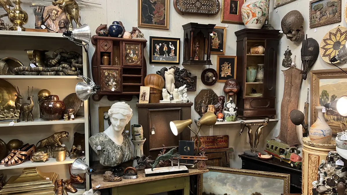 Blick ins Geschäft, halb Wunderkammer, halb Museum
