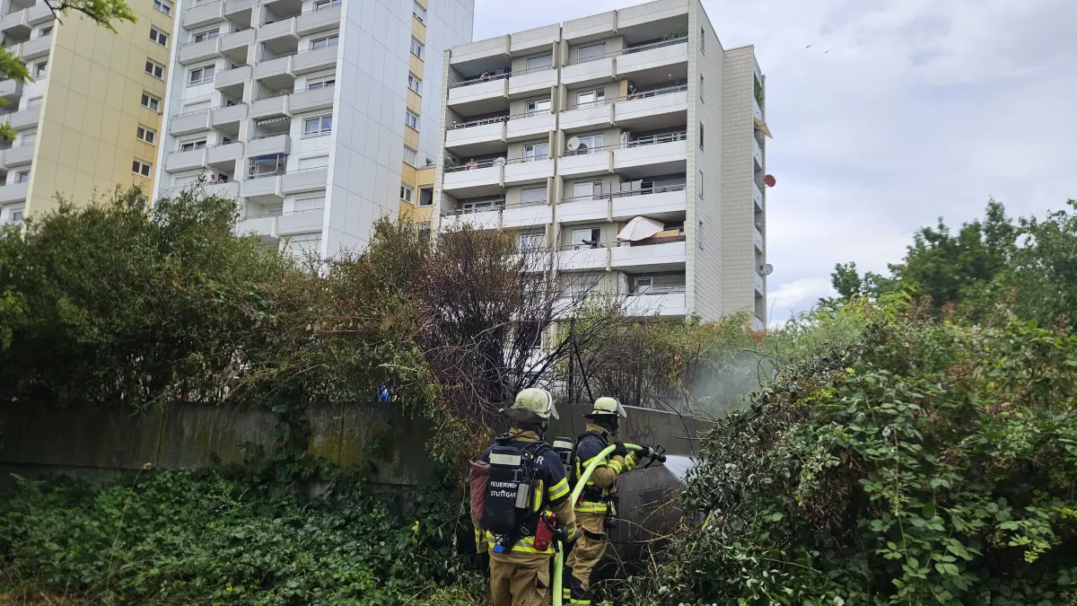 Brand Neugereut