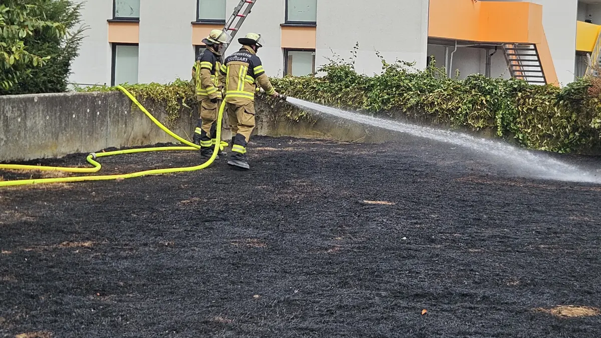 Brand Neugereut