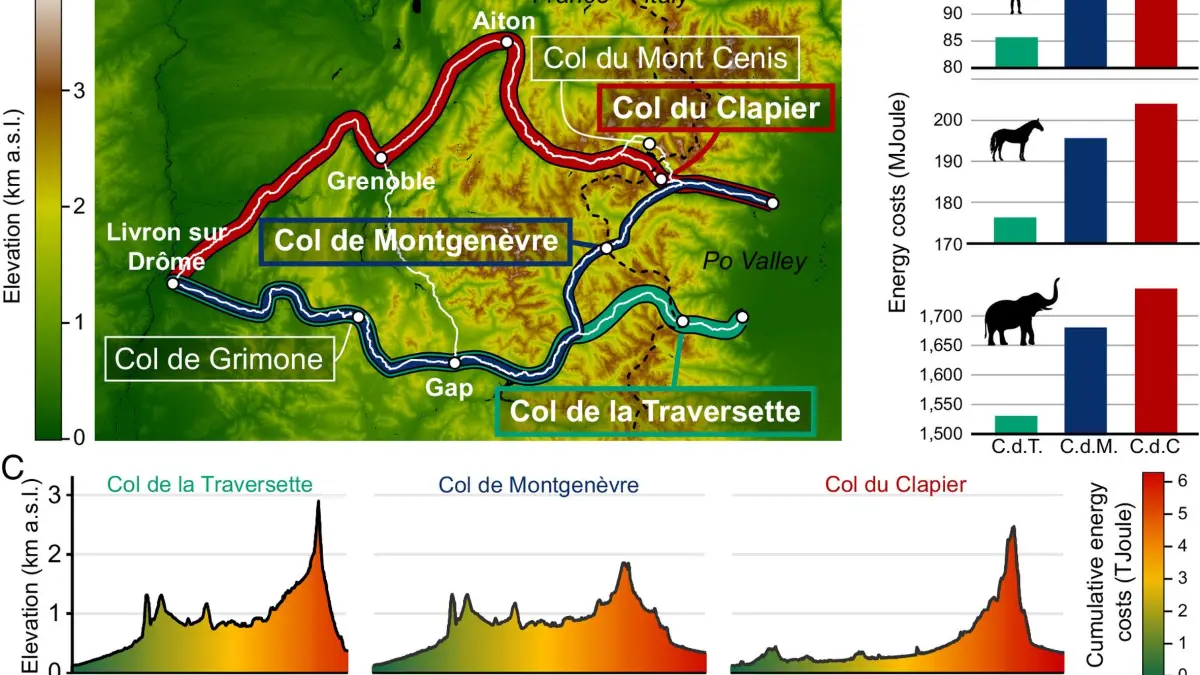 Den Berechnungen der Forscher zufolge wäre der Col de la Traversette die kürzeste und auch die energieeffizienteste Route gewesen.
