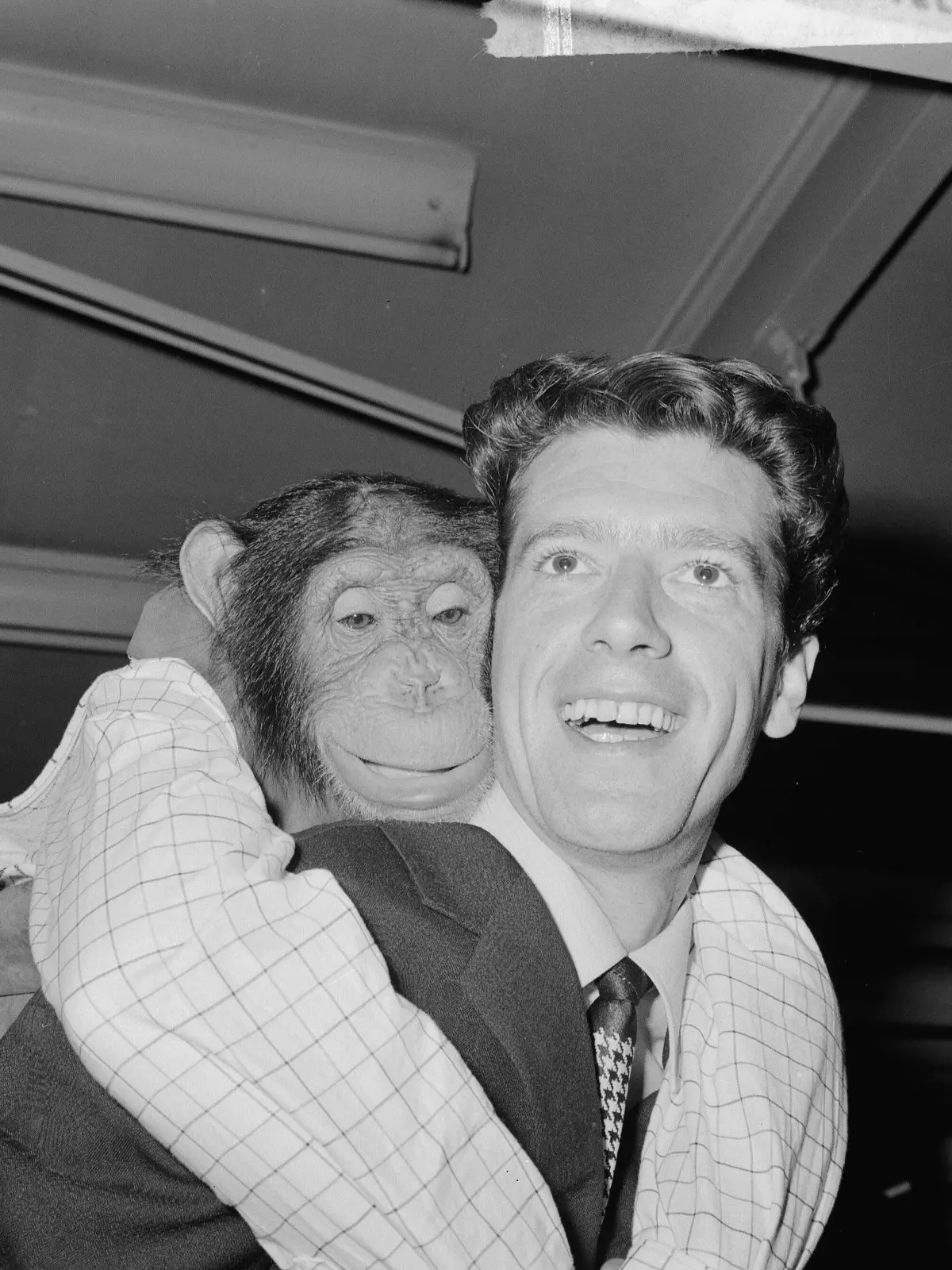 Das Entertainer-Gen wurde ihm in die Wiege gelegt: Rudi Carrell mit Schimapnse Plato 1964 in Schiphol, Noord-Holland