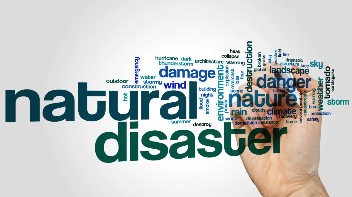 Für das Natural Disaster ist vor allem der Mensch verantwortlich. Der durch die menschliche Zivilisation verursachte Klimawandel wird zu ihrem eigenen Untergang führen.
