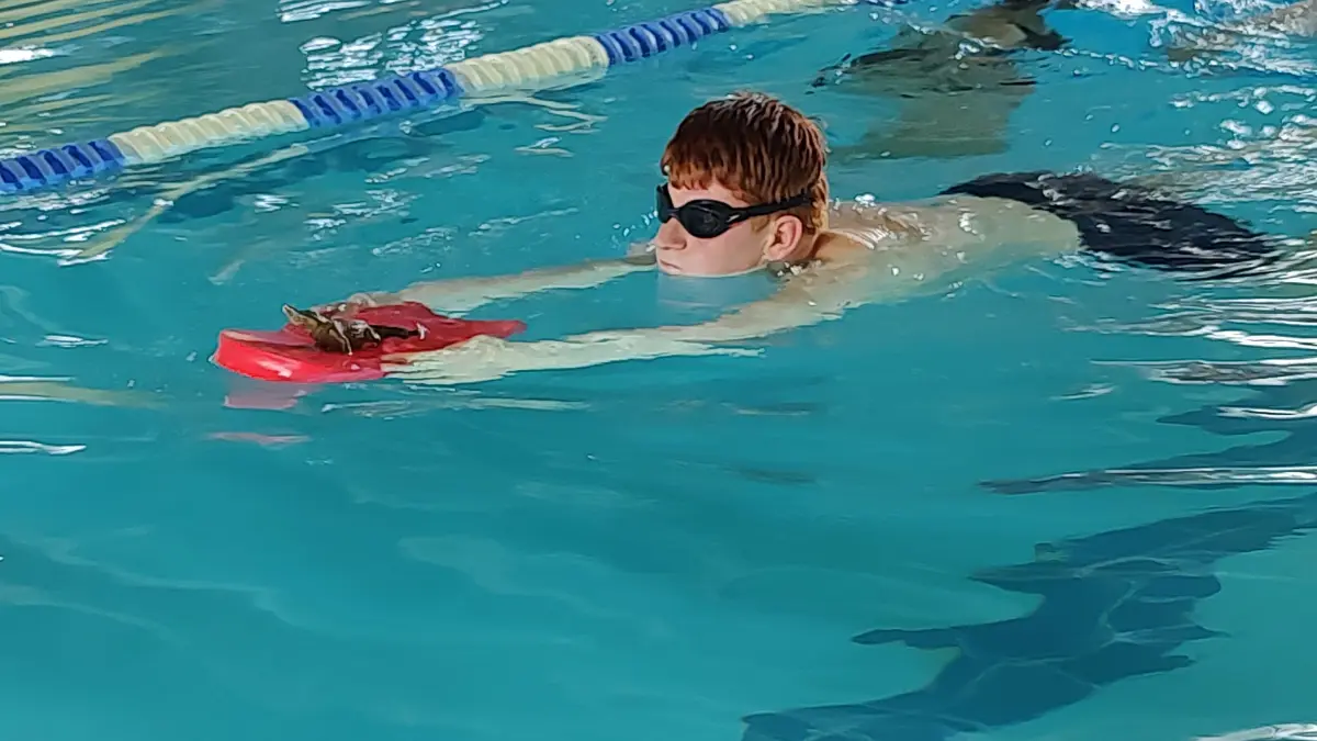 Wasserfreunde