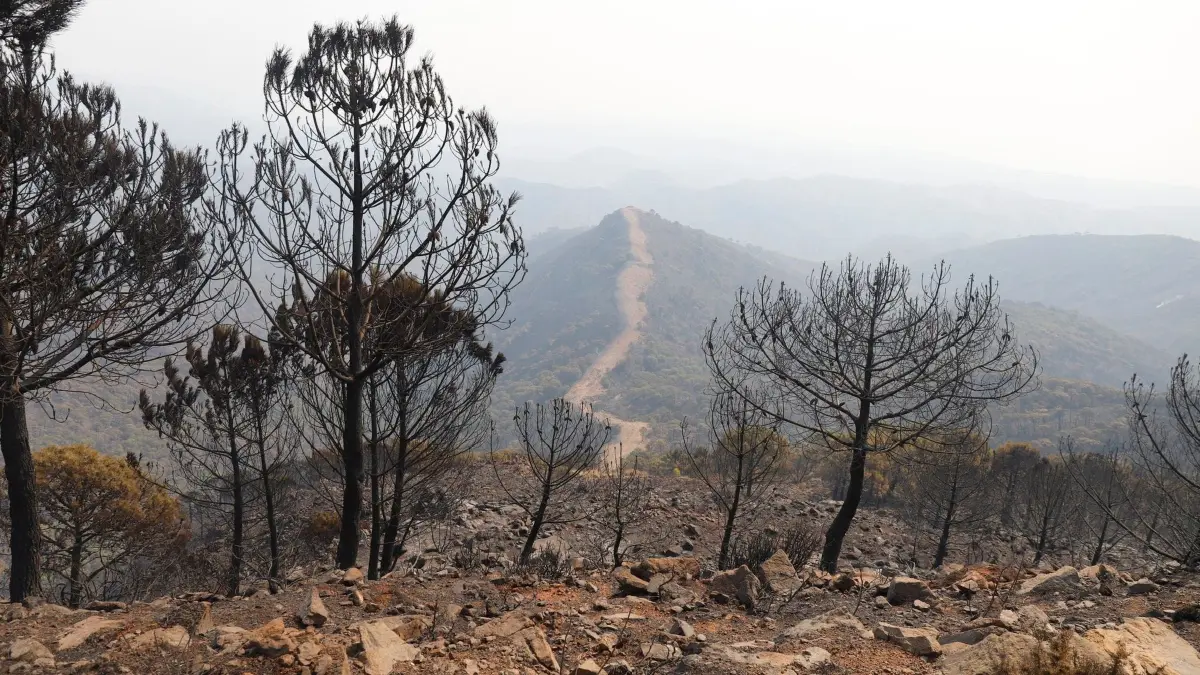 Waldbrand in Spanien