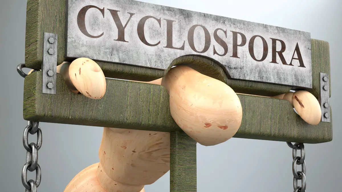 Cyclospora hält den Darm wie in einem Schraubstock fest.