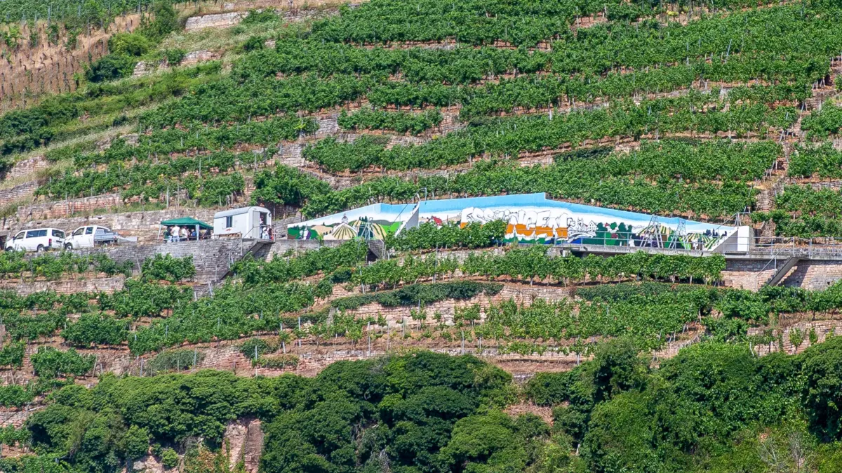 foto: Roberto Bulgrin
14. 07. 2026
Esslingen, Mettingen, 25 Meter lange Betonbauer in Esslingens Weinbergen wird von Schuelern gestaltet