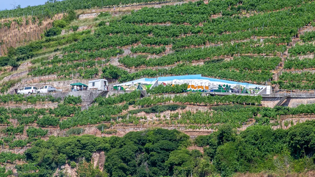 foto: Roberto Bulgrin
14. 07. 2026
Esslingen, Mettingen, 25 Meter lange Betonbauer in Esslingens Weinbergen wird von Schuelern gestaltet