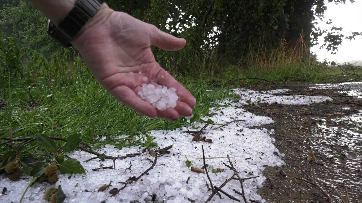 Ein Mann zeigt Hagelkörner nach dem Unwetter bei Ludwigslust-Parchim in Mecklenburg-Vorpommern