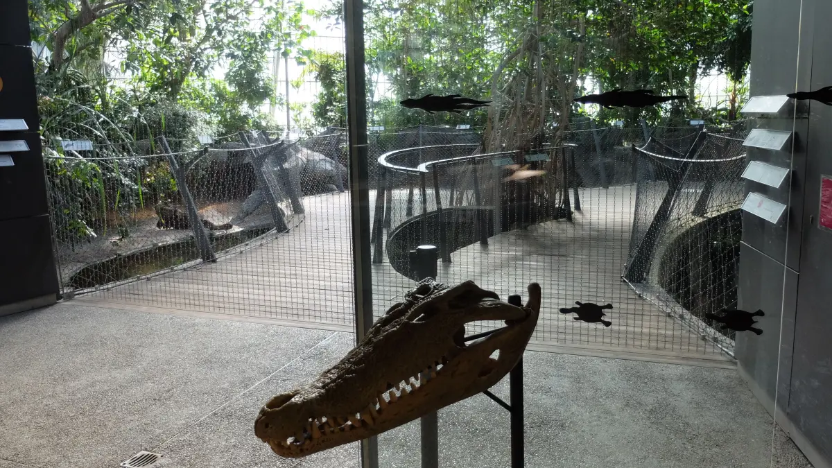 Die Tierrechtsorganisation Peta kritisiert die mangelnden Sicherheitsvorkehrungen in der Krokodilhalle der Wilhelma und verlangt Verbesserungen. Die Wilhelma will die Beschilderung ergänzen.
