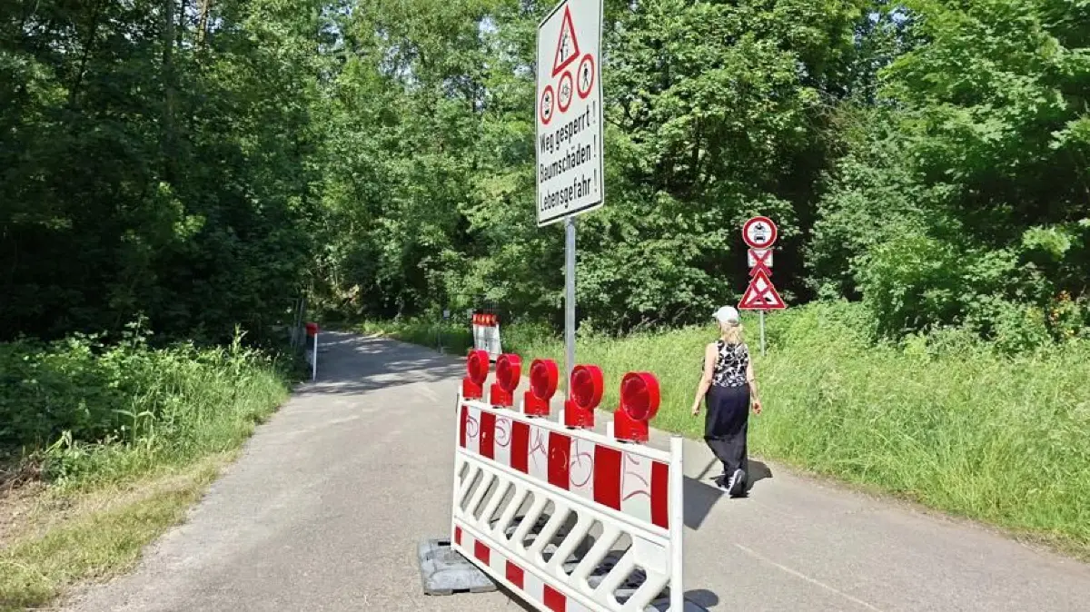 Weidachtal Bäume Fellbach Oeffingen