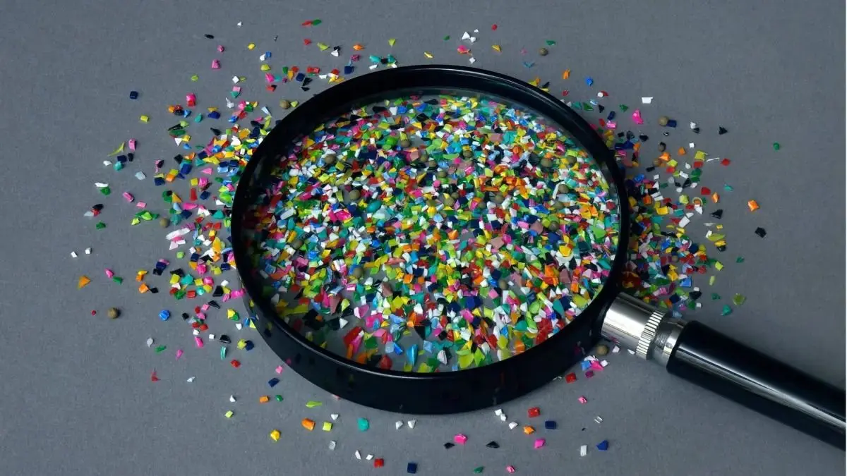 Mikro- und Nanoplastik können wir nicht entgehen. Wir nehmen es beim Trinken, Essen und Atmen auf.